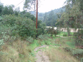 Enlarge photo 45