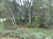 Enlarge photo 46