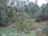 Enlarge photo 47
