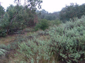 Enlarge photo 48