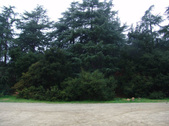 Enlarge photo 49