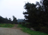 Enlarge photo 51