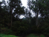 Enlarge photo 52