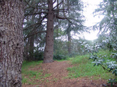 Enlarge photo 53