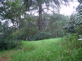 Enlarge photo 54