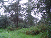 Enlarge photo 55