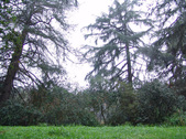 Enlarge photo 56