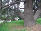 Enlarge photo 57