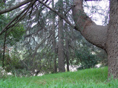 Enlarge photo 58
