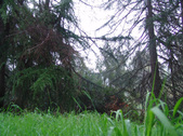 Enlarge photo 59