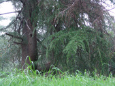 Enlarge photo 60