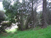 Enlarge photo 61