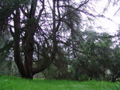 Enlarge photo 62