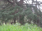 Enlarge photo 63