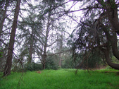 Enlarge photo 64
