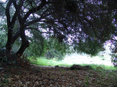 Enlarge photo 65