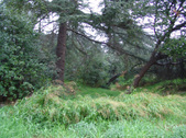 Enlarge photo 66