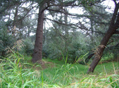 Enlarge photo 67