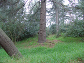 Enlarge photo 68