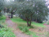 Enlarge photo 69