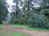Enlarge photo 70