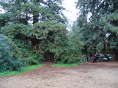 Enlarge photo 71