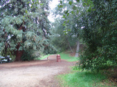 Enlarge photo 72