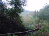Enlarge photo 73