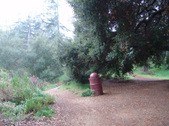 Enlarge photo 74