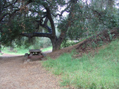 Enlarge photo 75