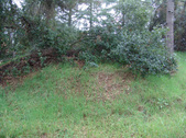 Enlarge photo 76
