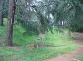Enlarge photo 77