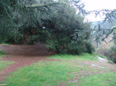Enlarge photo 78