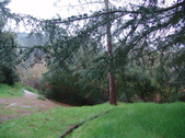 Enlarge photo 79