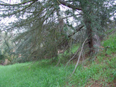 Enlarge photo 80