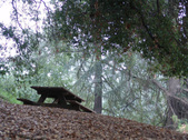Enlarge photo 82