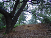 Enlarge photo 83