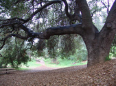 Enlarge photo 84