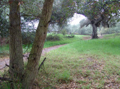 Enlarge photo 85