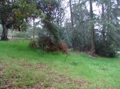 Enlarge photo 86