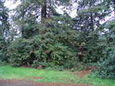 Enlarge photo 88