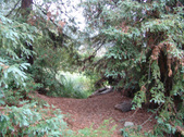 Enlarge photo 89