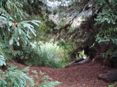 Enlarge photo 90