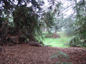 Enlarge photo 91