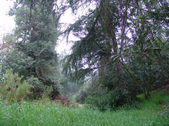 Enlarge photo 92