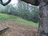 Enlarge photo 93