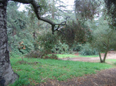 Enlarge photo 94