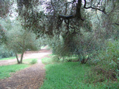 Enlarge photo 95