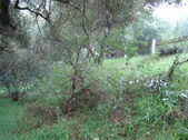 Enlarge photo 96