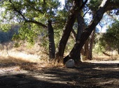Enlarge photo 24